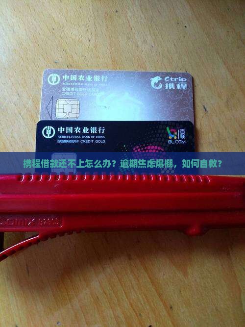携程借款还不上怎么办
