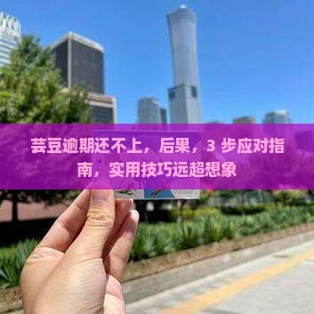 芸豆逾期还不上
