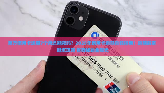 两万信用卡逾期7个月了