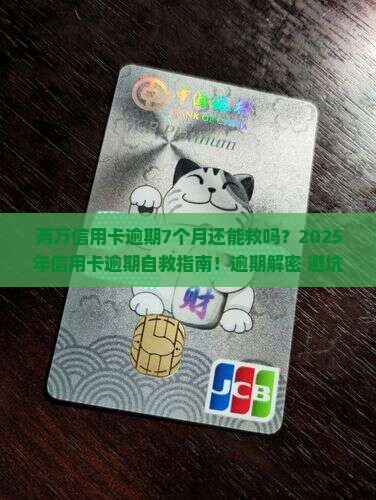两万信用卡逾期7个月了