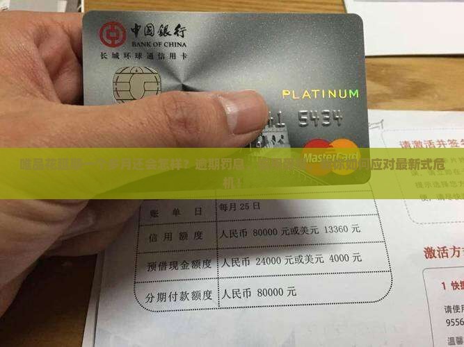 唯品花延期一个多月还会怎样