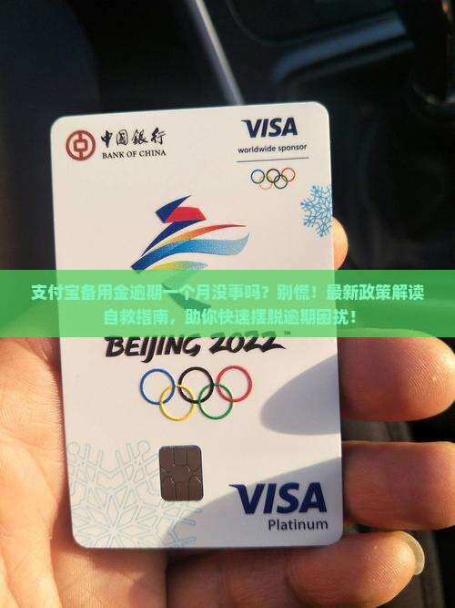 支付宝备用金逾期一个月没事吗怎么处理