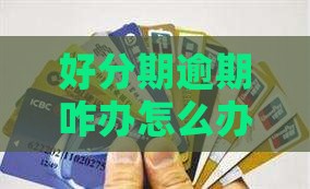 好分期逾期咋办怎么办