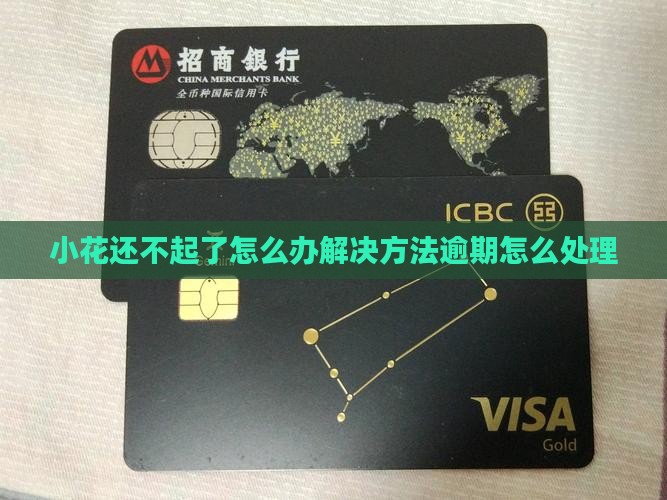 恒小花还不起了怎么办解决方法