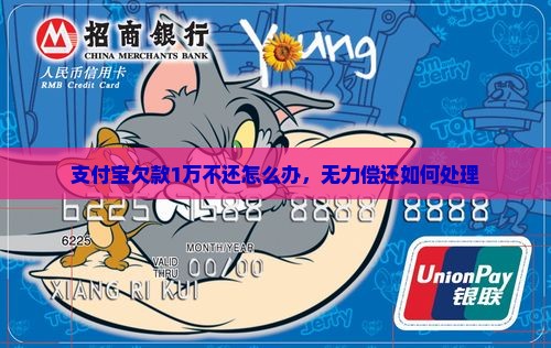 支付宝欠款1万不还怎么办