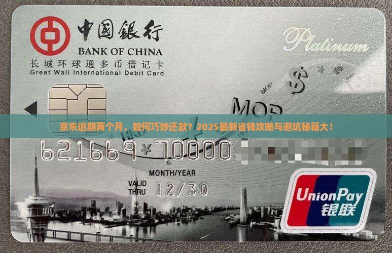 京东白条逾期两个月怎么还
