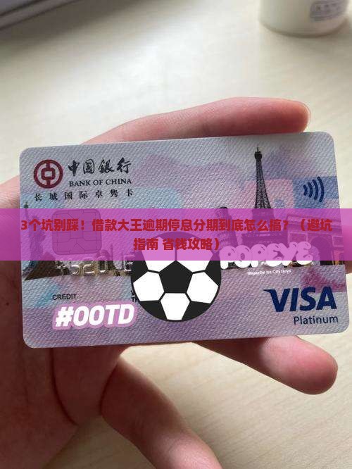 借款大王逾期停息分期