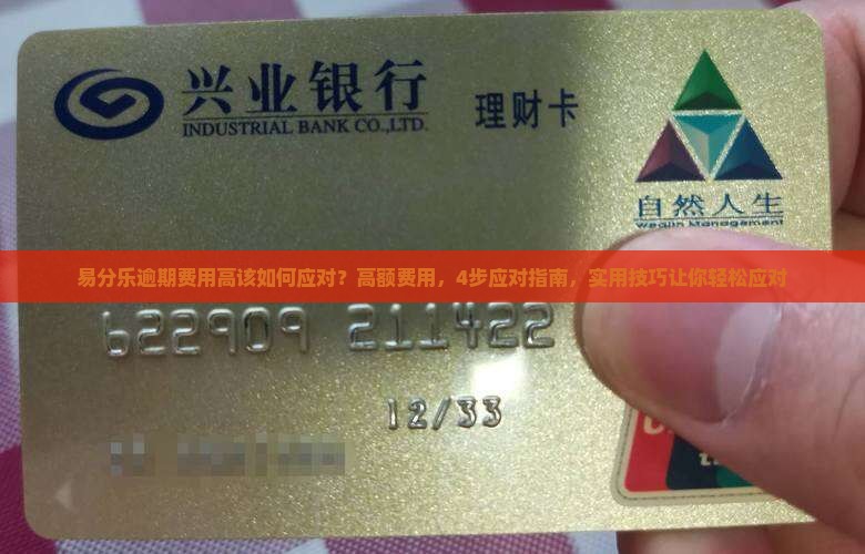 易分乐逾期费用高该如何应对