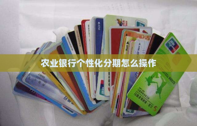 中山农业银行个性化分期如何操作