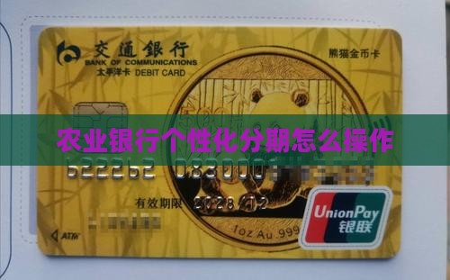 中山农业银行个性化分期如何操作