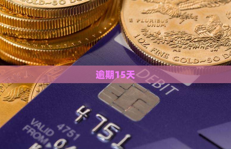 白条逾期15天