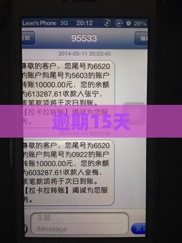白条逾期15天