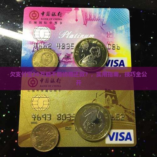 欠支付宝20万能不能协商还款