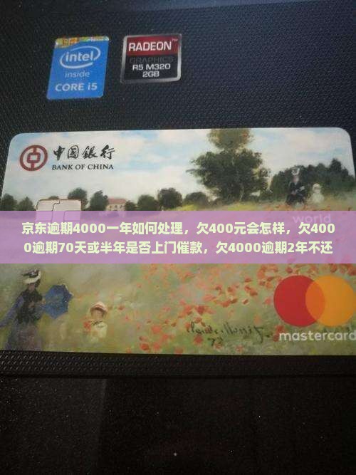 京东白条逾期4000一年如何处理