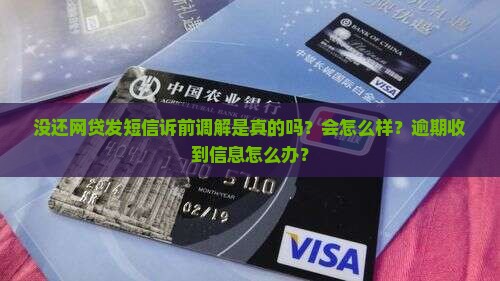 没还网贷发短信诉前调解