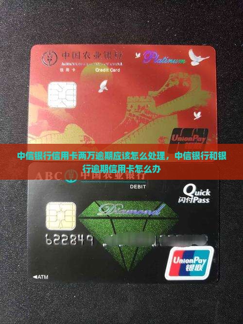 中信银行信用卡两万逾期应该怎么处理