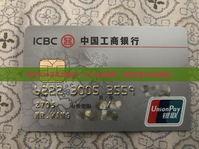 网贷欠20万无力偿还