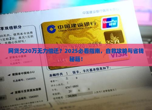 网贷欠20万无力偿还