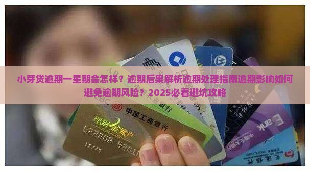 小芽贷逾期一星期会怎样处理