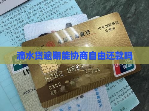滴水贷能协商自由还款吗