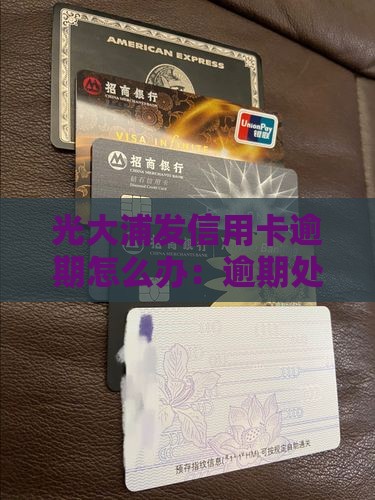 光大浦发信用卡逾期怎么办：逾期处理指南
