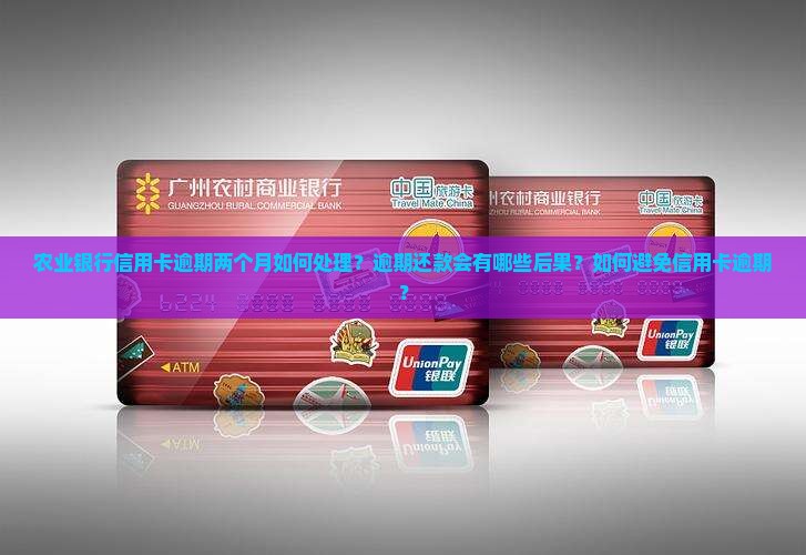 农业银行信用卡逾期两个月如何处理？逾期还款会有哪些后果？如何避免信用卡逾期？