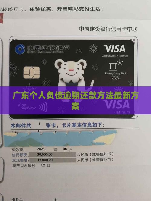 广东个人负债逾期还款方法最新方案