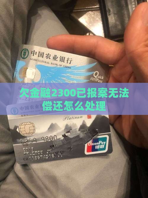 欠金融2300已报案无法偿还怎么处理