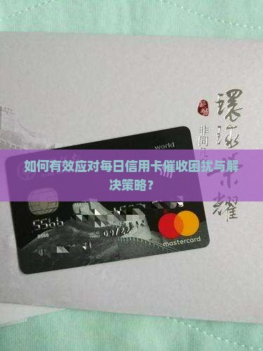 如何有效应对每日信用卡催收困扰与解决策略？