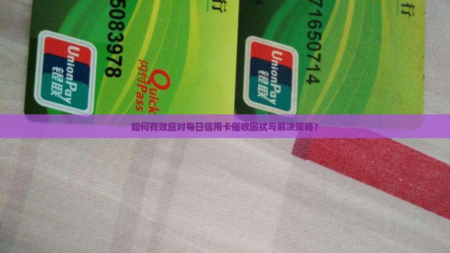 如何有效应对每日信用卡催收困扰与解决策略？