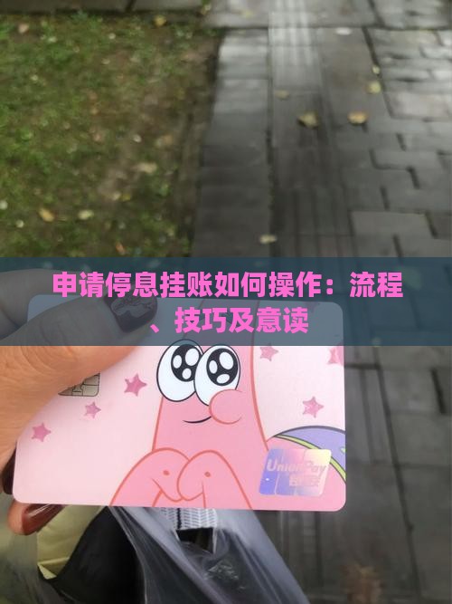 申请停息挂账如何操作：流程、技巧及意读