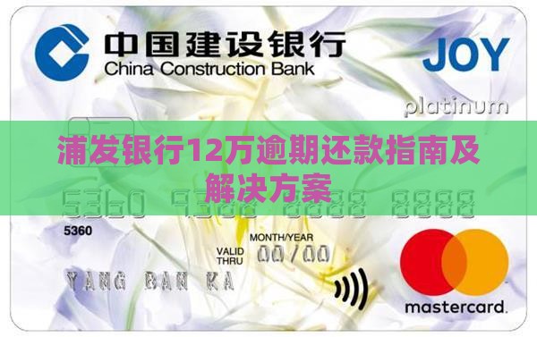 浦发银行12万逾期还款指南及解决方案