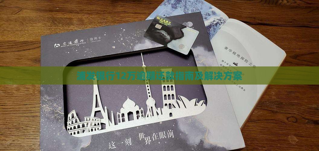 浦发银行12万逾期还款指南及解决方案