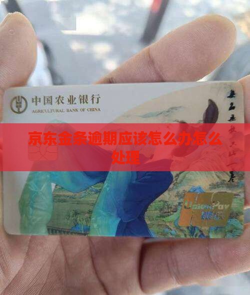 京东金条逾期应该怎么办怎么处理