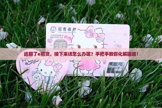 逾期了e招贷，接下来该怎么办呢？手把手教你化解困境！