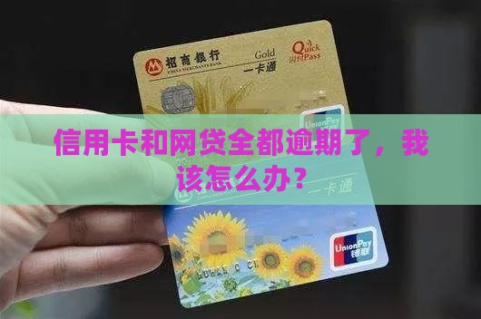 信用卡和网贷全都逾期了，我该怎么办？