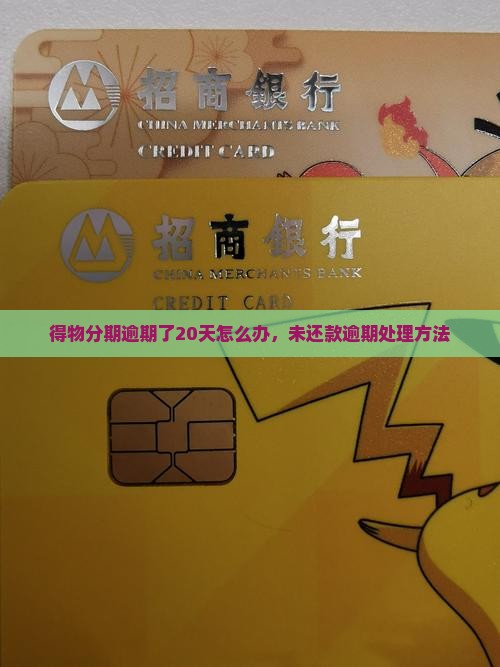 得物分期逾期了20天怎么办，未还款逾期处理方法