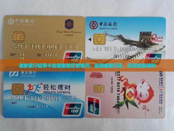 浦发银行信用卡逾期金额还款情况：逾期金额已还，还款进度顺利