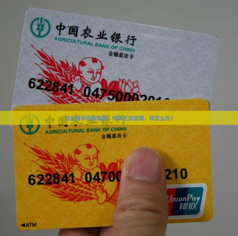 创业新手遭遇难题：快贷还款逾期，该怎么办？