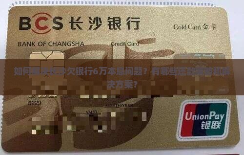 如何解决长沙欠银行6万本息问题？有哪些还款策略和解决方案？