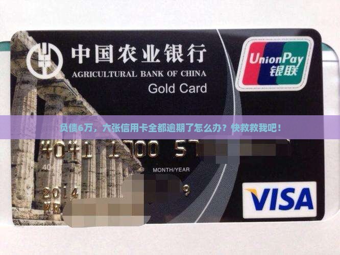 负债6万，六张信用卡全都逾期了怎么办？快救救我吧！