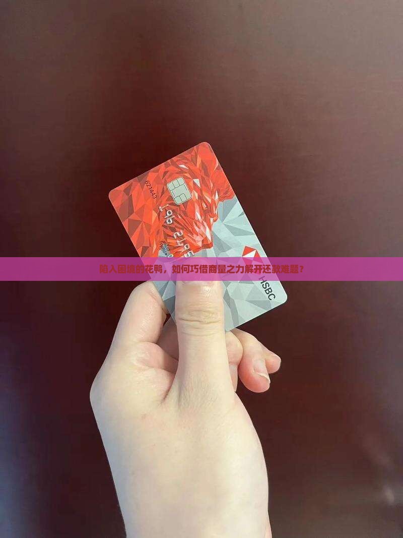 陷入困境的花鸭，如何巧借商量之力解开还款难题？