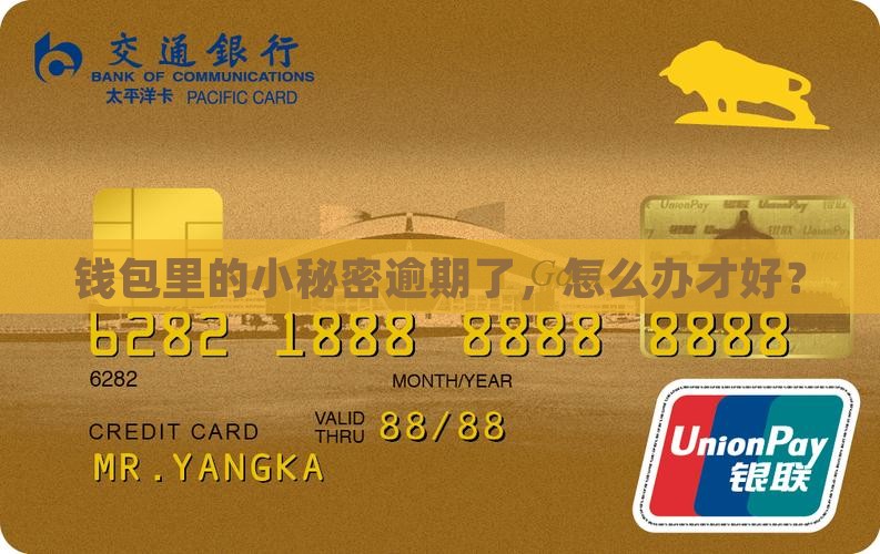 钱包里的小秘密逾期了，怎么办才好？