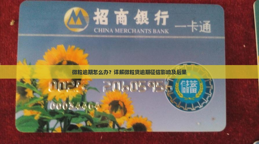 微粒逾期怎么办？详解微粒贷逾期征信影响及后果