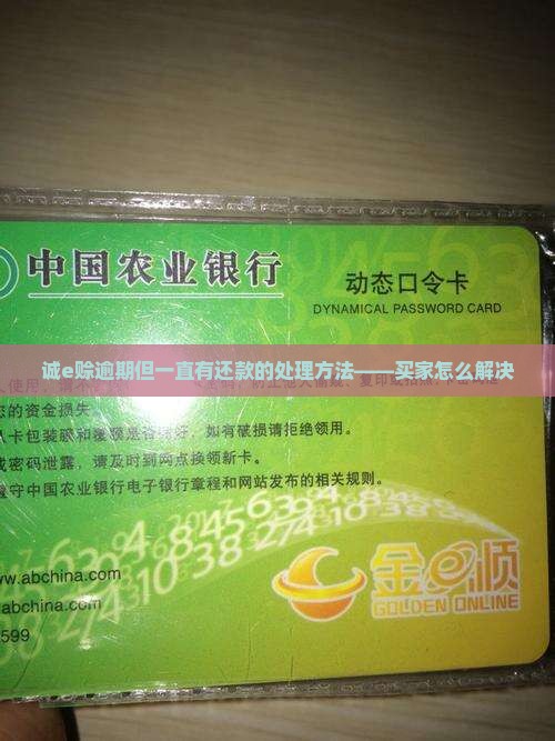 诚e赊逾期但一直有还款的处理方法——买家怎么解决