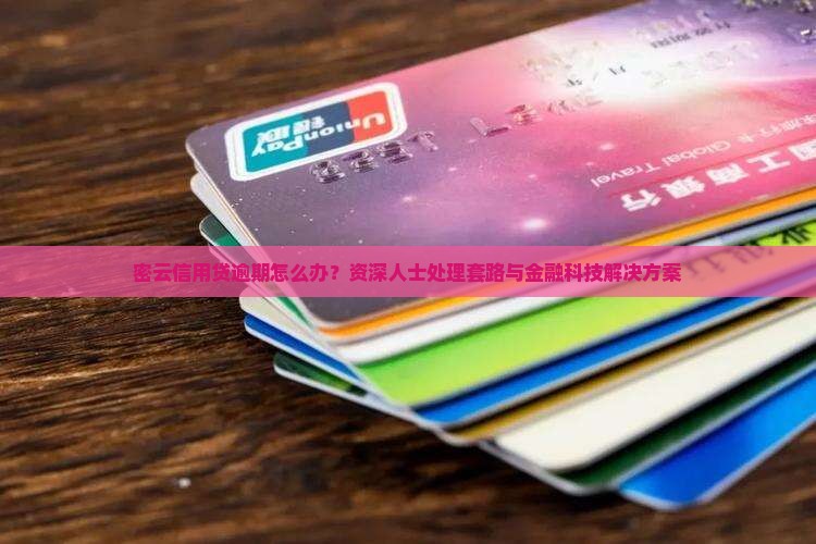 密云信用贷逾期怎么办？资深人士处理套路与金融科技解决方案