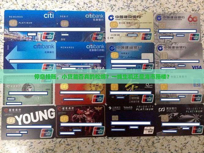 停息挂账，小贷能否真的松绑？一线生机还是海市蜃楼？