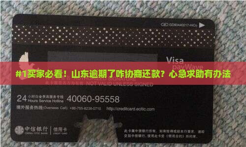 #1买家必看！山东逾期了咋协商还款？心急求助有办法