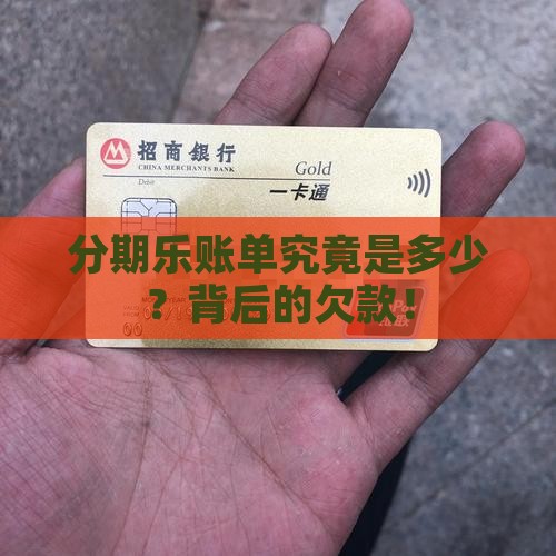 分期乐账单究竟是多少？背后的欠款！