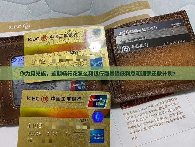 作为月光族，逾期畅行花怎么和银行商量降低利息和调整还款计划？